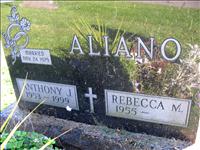 Aliano, Anthony J. and Rebecca M